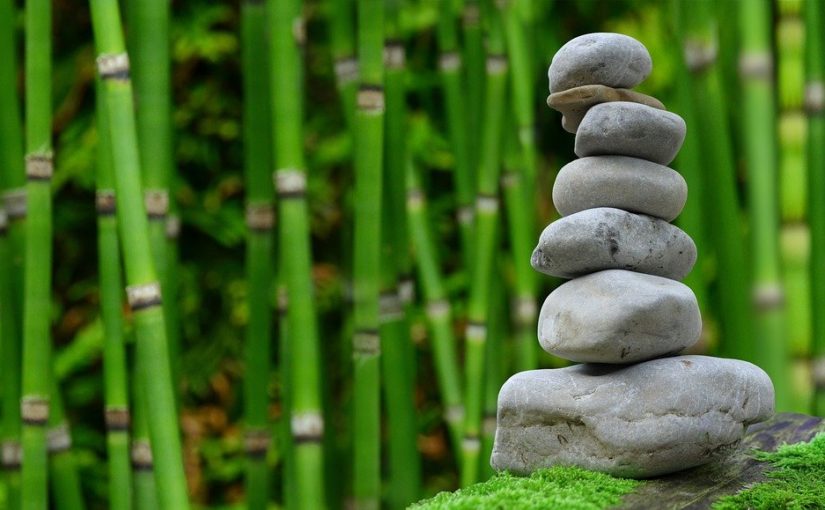 Piękny oraz uporządkowany ogród to zasługa wielu godzin spędzonych  w jego zaciszu w trakcie jego pielegnacji.