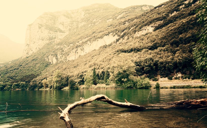 Szambo – Kluczowe Dla Dobrej kondycji i Środowiska: Funkcje, Konserwacja, Usuwanie. Zachowujmy o Własne Otoczenie, Zauważmy Znaczenie Struktury Odprowadzania ścieków.